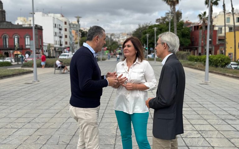 El PP pide a Darias que piense “en el futuro de la ciudad y no en el suyo” para evitar que el proyecto del Guiniguada acabe por segunda vez en un cajón