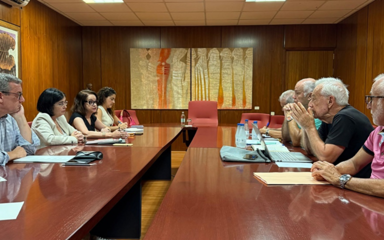 El PP lamenta que Darias haya dado la espalda a los vecinos de Las Torres agravando la incertidumbre sobre el futuro de las casas