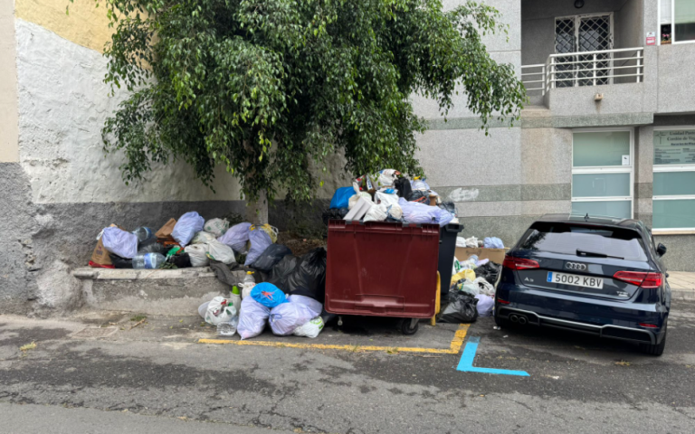 El PP alerta de que la pérdida de la mitad de los coches de la Inspección de Limpieza forzará rutas a pie y dejará sin control amplias zonas de la ciudad