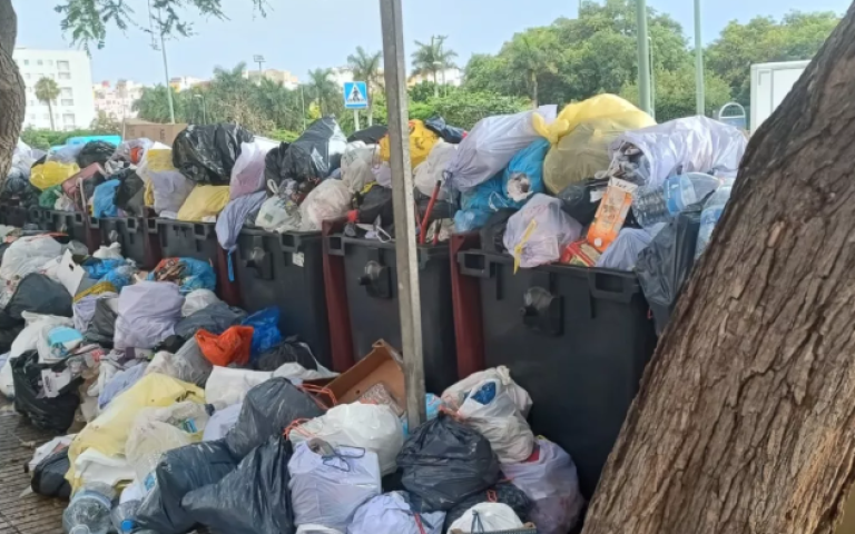 El PP registrará mañana la solicitud de Pleno extraordinario para depurar responsabilidades por la situación de “emergencia sanitaria” a causa de la falta de limpieza en la capital