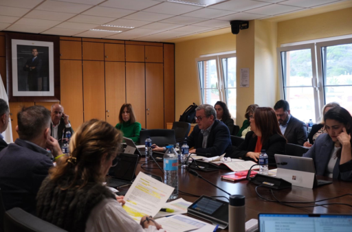 Delgado denuncia que la nueva estructura de las comisiones del Pleno responde a intereses particulares del gobierno y no a una organización coherente de la ciudad