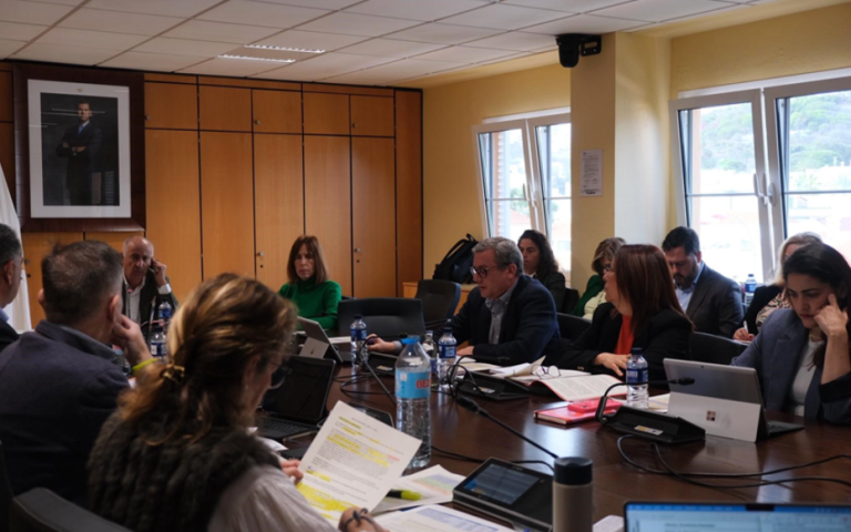 Delgado denuncia que la nueva estructura de las comisiones del Pleno responde a intereses particulares del gobierno y no a una organización coherente de la ciudad